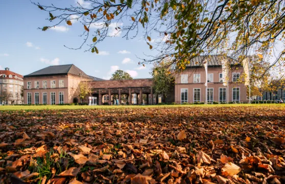 萊比錫城市歷史博物館+萊比錫大學+格拉西博物館包車一日