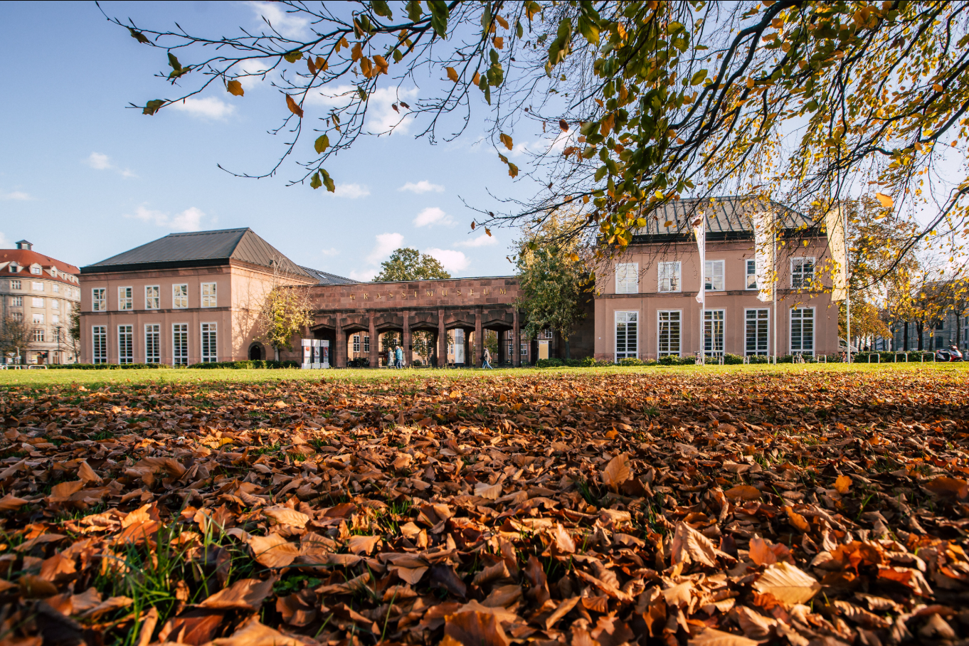 1-day tour in Germany: Leipzig City History Museum + Leipzig University + Grassi Museum