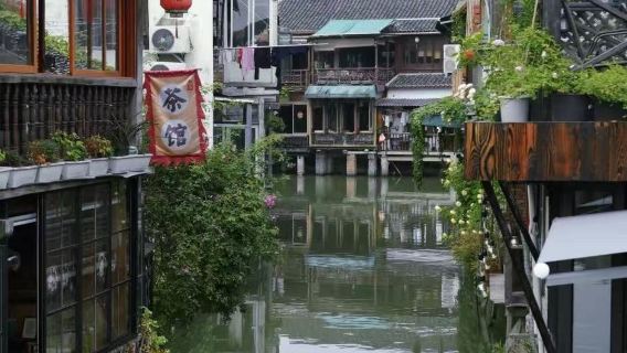 Shanghai Zhujiajiao Water Town Day Tour+Jade Buddha Temple+Silk Museum
