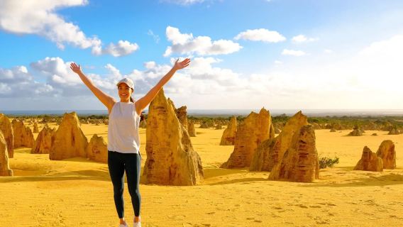 Australia The Pinnacles Desert + Lobster Shack + Yanchep 1-day tour [Includes city transfers + snacks]
