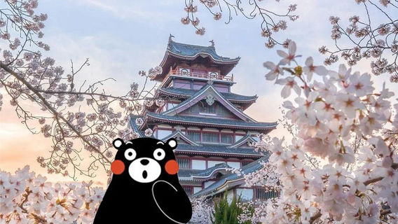 Kumamoto