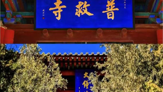 永樂宮+廣仁王廟+普救寺+鸛雀樓+大鐵牛+關帝祖廟+鹽湖景區