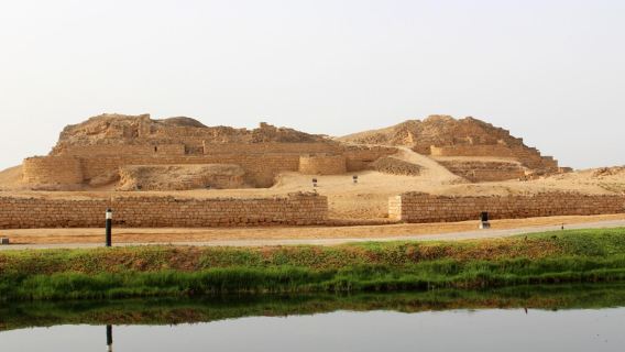 From Salalah Private Tour : Discover the Heart of Salalah city Tour