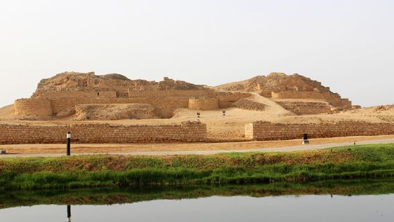 SalalahTours