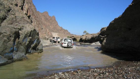 From Salalah Safari: Trekking and Safari Experience in Salalah