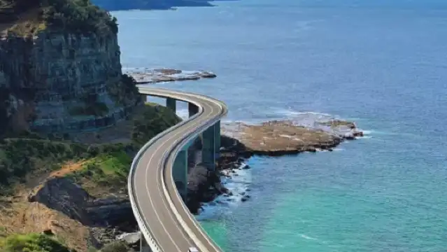 雪梨Kima臥龍港包車一日遊[行程可調//普通話司導]