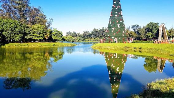 Витражи и граффити-стены: Игра света и тени в бразильском Сан-Паулу. Однодневный тур с гибким маршрутом.