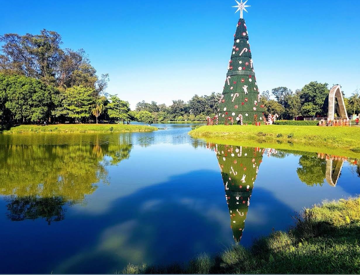 ステンドグラスとグラフィティアートの壁:ブラジル・サンパウロの光と影の変奏曲 ワンデーツアーで訪れるスポット、行程調整可能