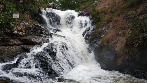 DalatTours