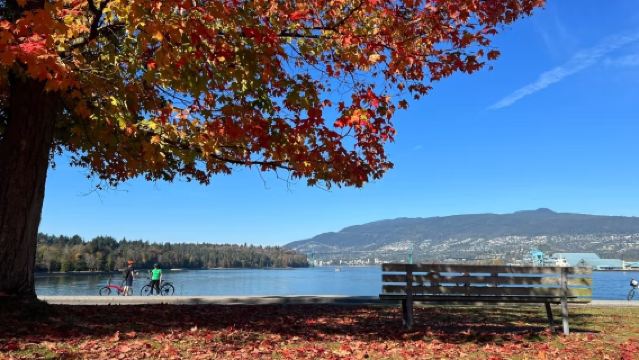 史丹利公園·卡皮拉諾吊橋+煤氣鎮+固蘭湖島 溫哥華拼團遊