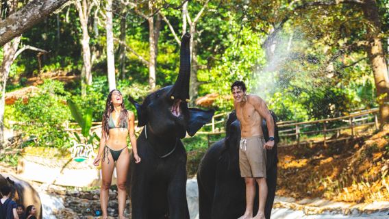 Phuket Patong Elephant Hug - Campo di protezione degli elefanti a Patong