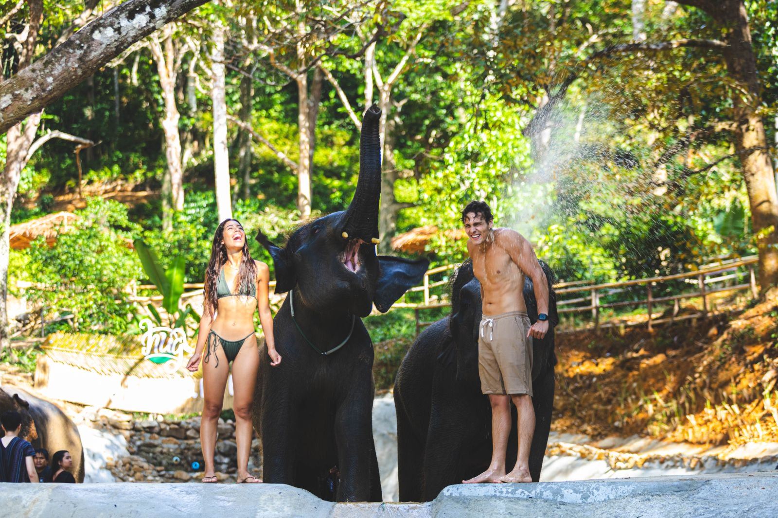 Phuket Patong Elephant Hug - Elefantenschutzcamp in Patong