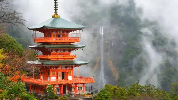Kumano Kodo one-day tour with Private Car |Freely customize your itinerary