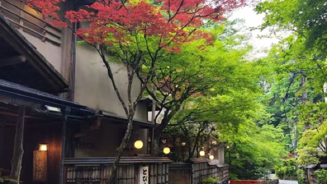 京都+貴船神社+三千院+貓貓寺一日遊【中文司機】