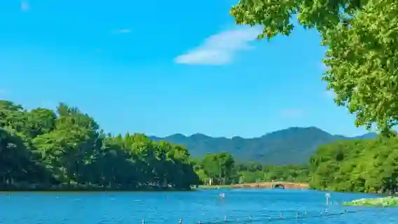 杭州幽賞西湖一日【登三潭印月島+食東坡定食+浙博孤山館精講】