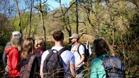 Dublin: Tour đi bộ đường dài Howth Safari