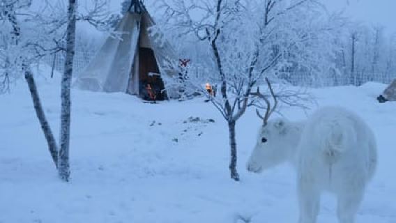 Once-in-a-lifetime Snowmobile Safari to Lapland Viewpoint