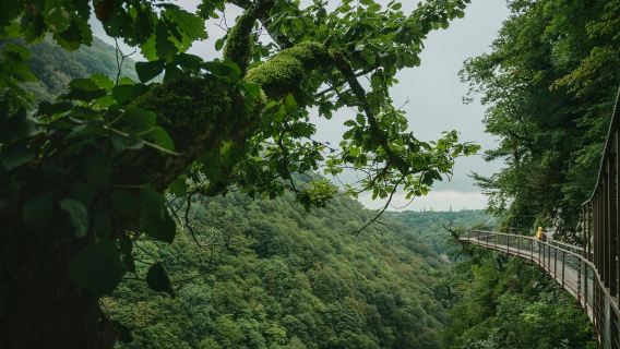 Tour tham quan Hẻm núi và Hang động từ Kutaisi