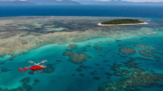 Cairns: vuelo panorámico de 60 minutos sobre el arrecife y la selva tropical