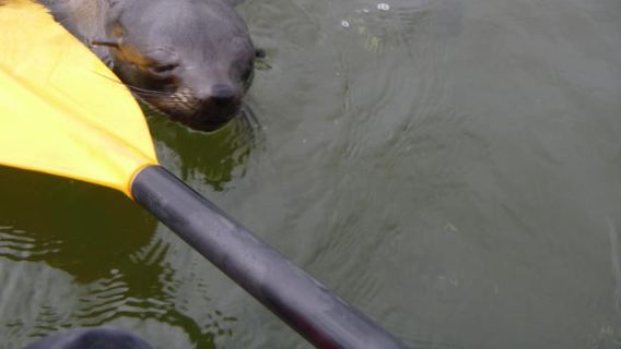 Walvis BayTours