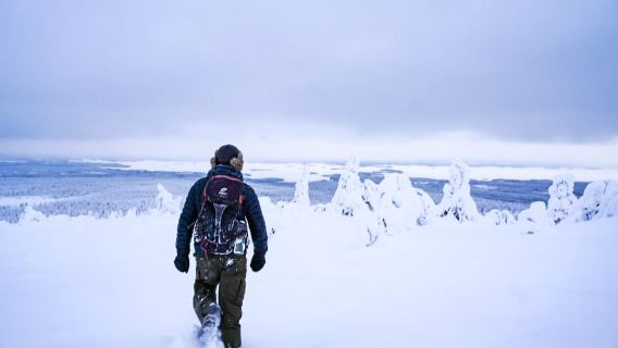 Rovaniemi: Riisitunturi National Park Day Trip with Lunch