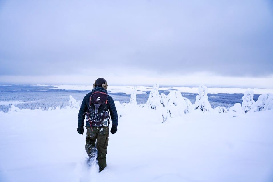 Rovaniemi: Chuyến đi trong ngày đến vườn quốc gia Riisitunturi kèm bữa trưa