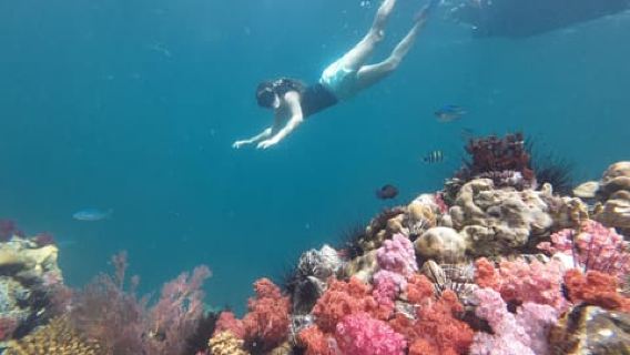 Koh Lipe: escursione di snorkeling di mezza giornata a 4 isole 5 punti