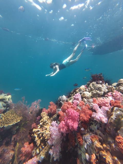 Koh Lipe: Half-Day Snorkeling (Morning/Afternoon/Sunset)