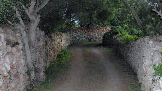 Minorca: tour in bici elettrica da Punta Prima a Binibeca