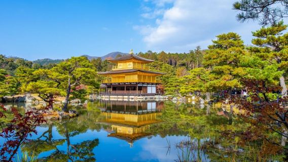 Excursión por la costa de Kobe a Kioto: TODO INCLUIDO