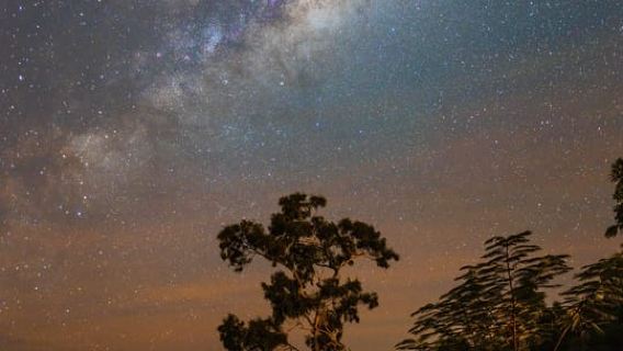 Blackheath: Taller de fotografía del cielo nocturno