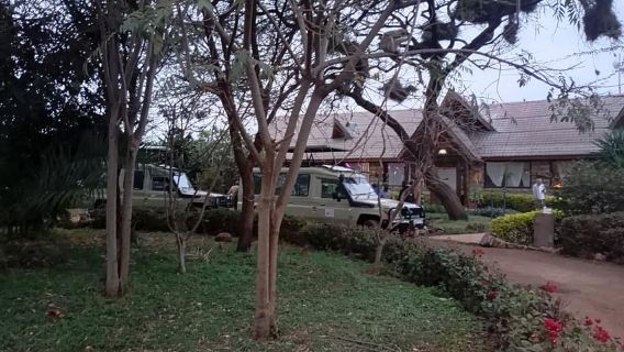 Da Nairobi: tour di un giorno al lago Nakuru e al parco nazionale di Naivasha