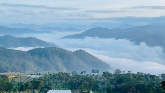 Da Lat: Cloud Hunting, experience Da Lat special products