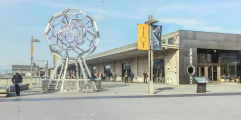 三藩市一日遊:金門大橋+藝術宮+九曲花街+探索博物館