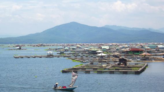 Cianjur : Floating Village, Boat Ride, Floating house