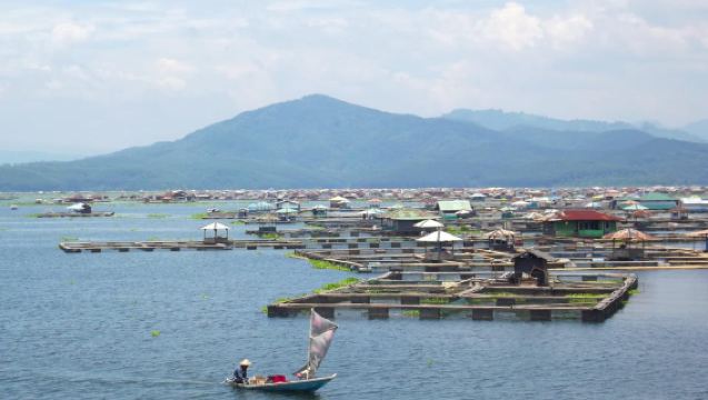 Cianjur : Floating Village, Boat Ride, Floating house