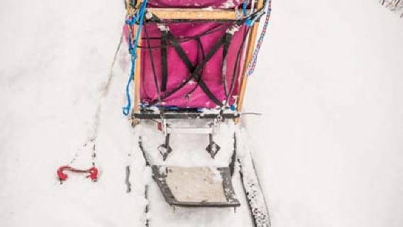 Fairbanks, AK: "Drive your Own Dog Team" Sledding Adventure