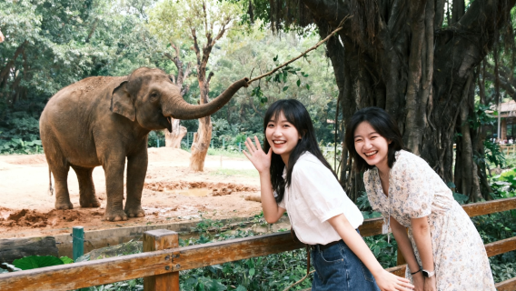 廣州長隆野生動物世界旅拍【跟拍攝影親子照情侶閨蜜兒童跟拍家庭旅拍】