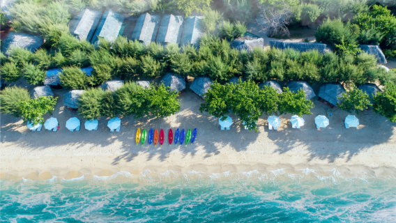 Scoperta della Baia di Nha Phu e dell'Isola delle Scimmie