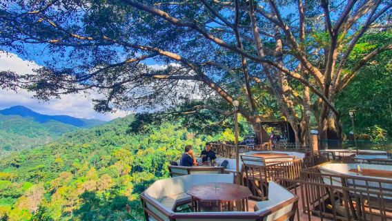 清邁醉美天燈節+巨樹咖啡+溫泉公園一日遊（中文司機包車行）