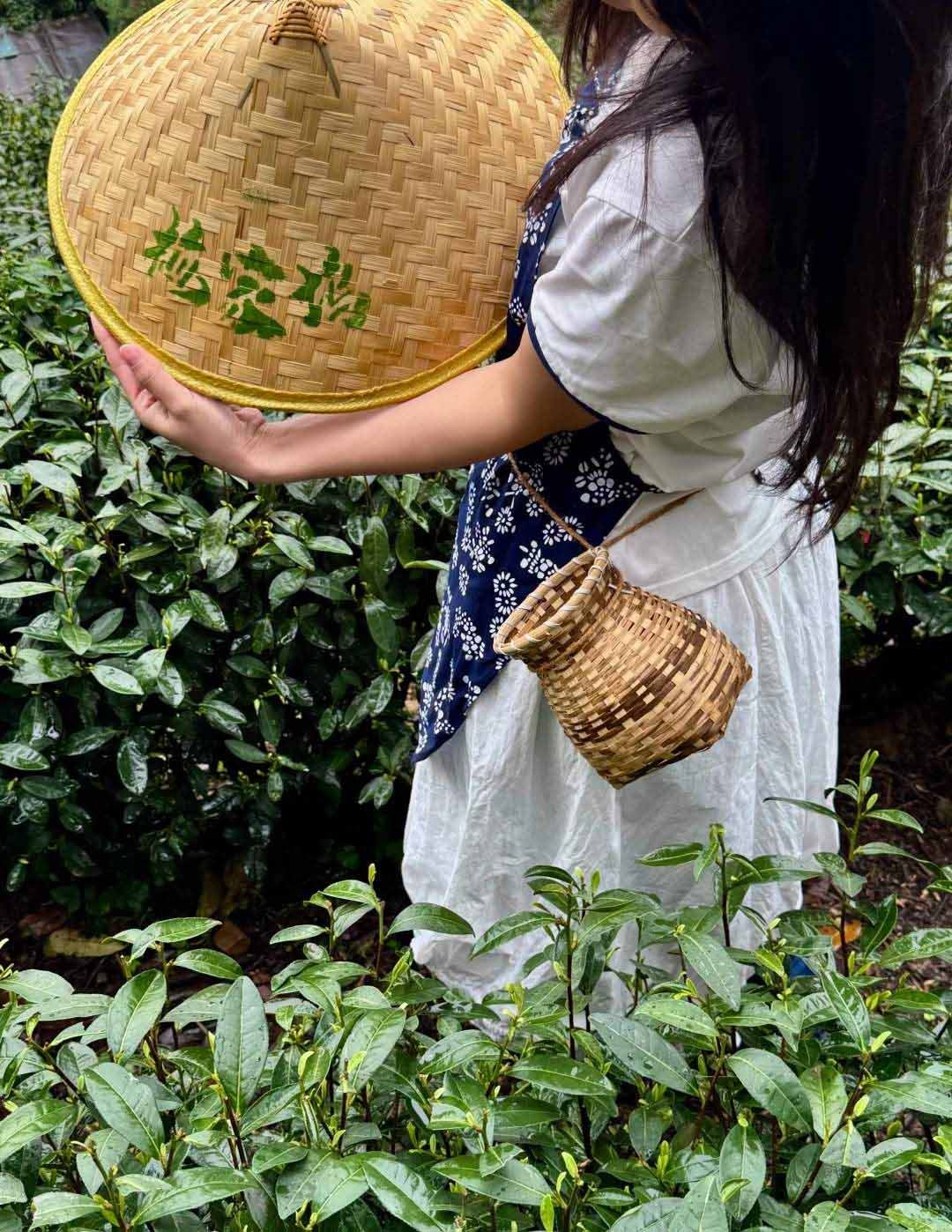 Hangzhou West Lake Longjing-Tee-Pflücken + Röstung und Fixierung + Song-Dynastie-Teezeremonie-Erlebnis mit Live-Führung in Chinesisch und Englisch R