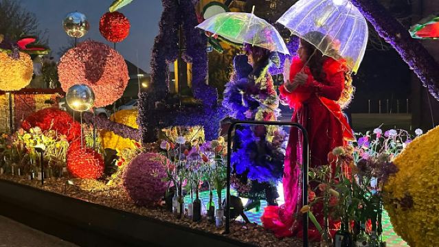 Keukenhof & Evening Flower Parade: Entry Ticket + Grandstand Seats + Transfer