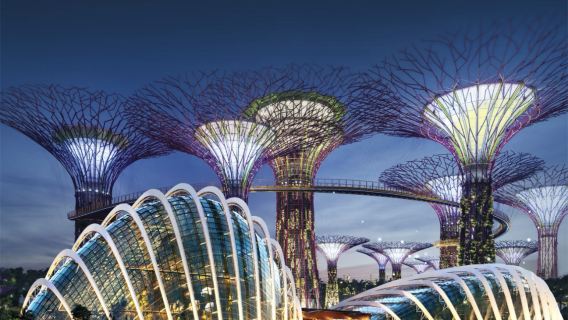 Singapore Half-Day Highlights Tour | Merlion + Marina Bay Sands + Art Museum + Artistic Photo Spot at Haji Ln