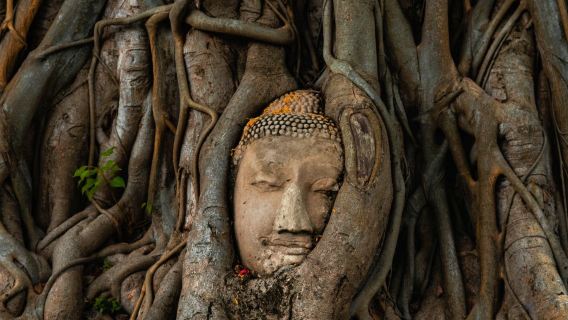 【タイ・バンコク発】シーアユタヤ ライオン パーク+タイ式寺院2ヶ所選択|貸切チャーター1日