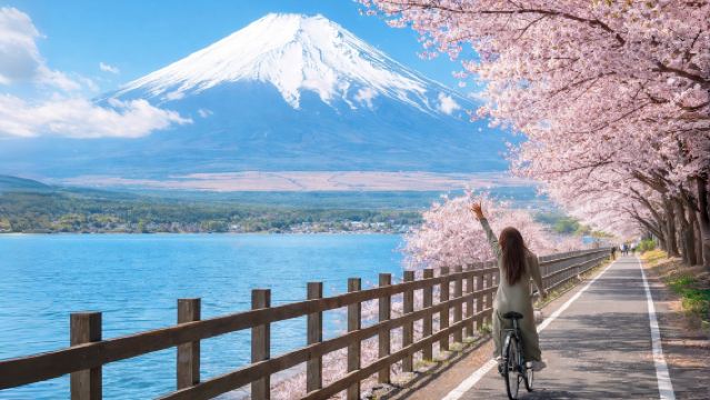 Tokyo Mt. Fuji Highlights Day Tour: Lake Yamanaka +Oshino Hakkai+Oishi Park (Lake Kawaguchi)+ Lawson +Arakurayama Sengen Park +Heavenly Stairway Town/Hikawa Clock Shop
