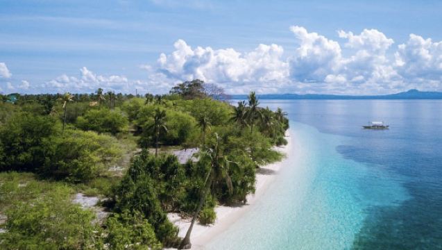 Bohol Island Dolphin Watching Cruise + Pamilacan Island Snorkeling with Coral, Fish, and Turtles