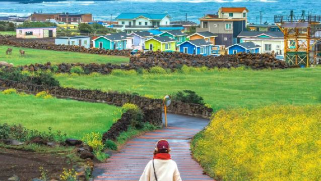 Lawatan Sehari di Pulau Jeju | Kumpulan VIP 6-8 Orang | Pengambilan dari Hotel | Laluan Klasik Timur | Pakej Tanpa Membeli-belah