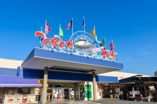 1-day tour to Wakayama & Shirahama hot spring: Visit the cat