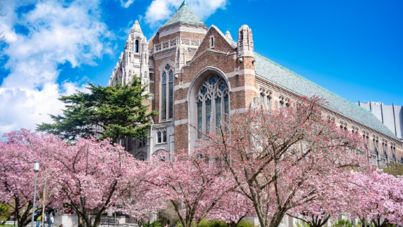 University of Washington + Art museum + Amazon headquarters + Underground tour (World cup city tour)