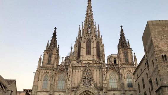Guided tour of Barcelona Cathedral